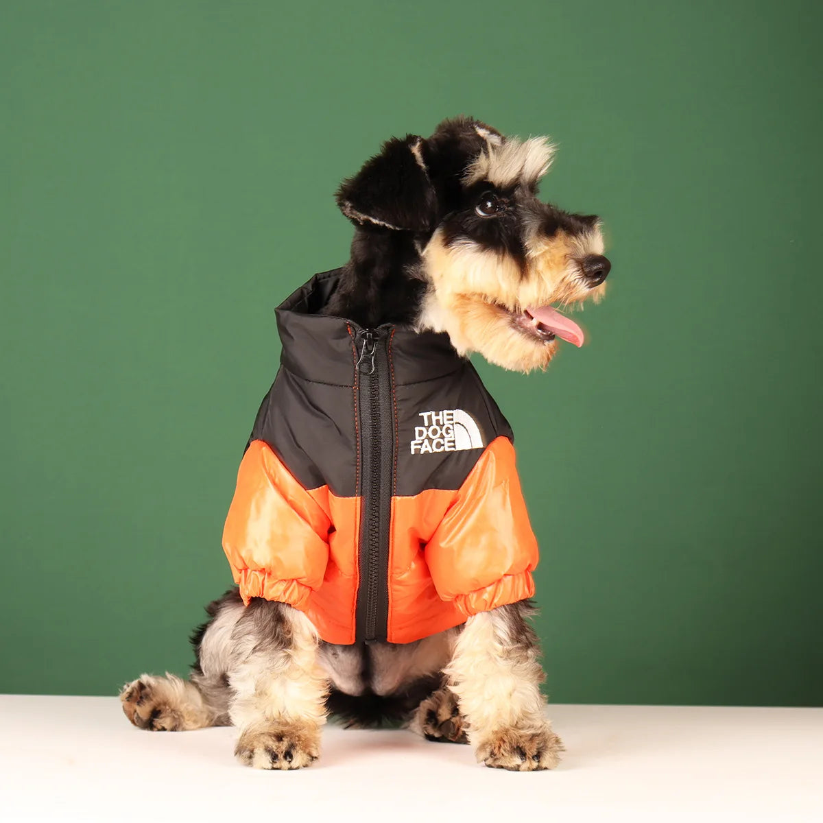 Geaca The Dog Face - Stil și Confort pentru Toate Sezoanele