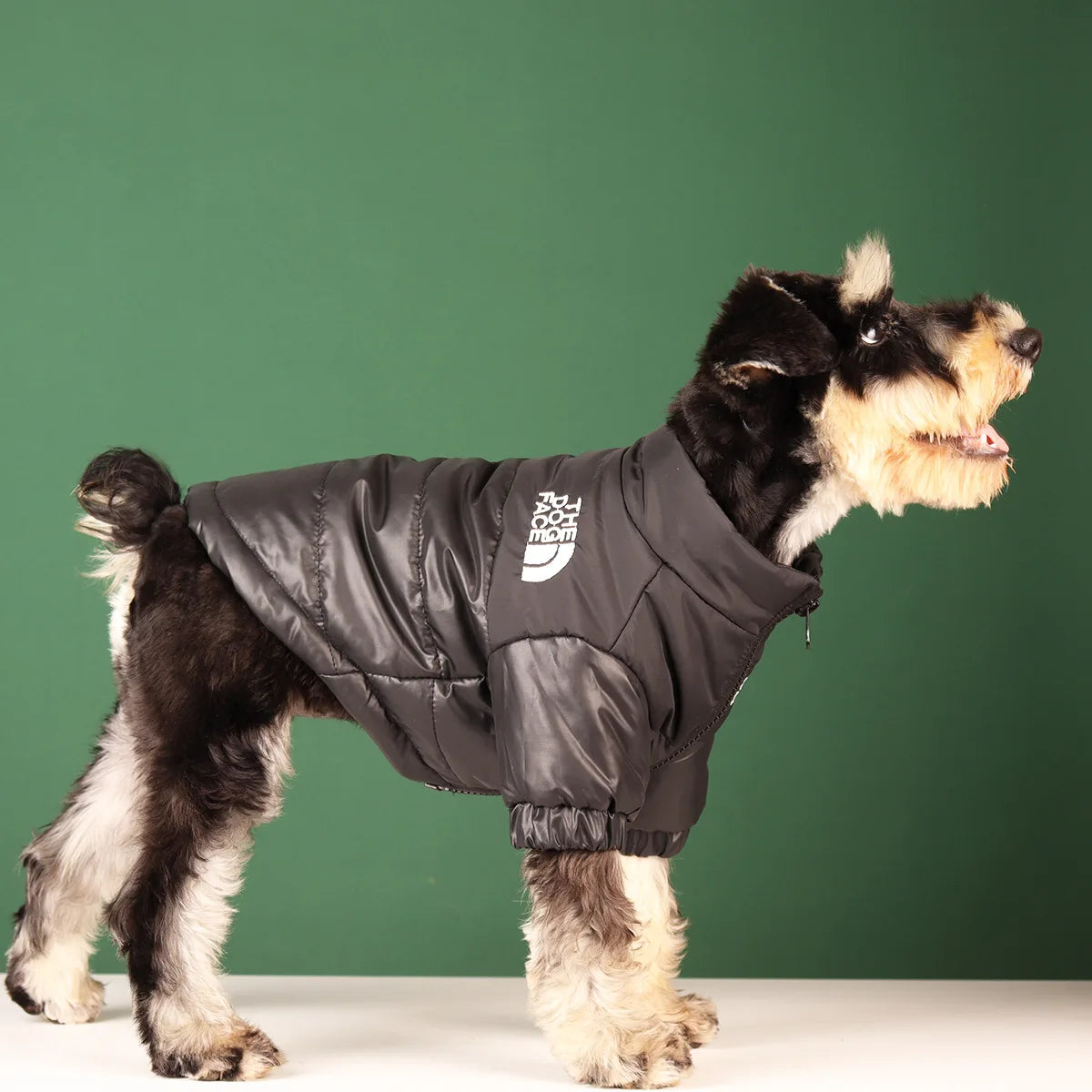 Geaca The Dog Face - Stil și Confort pentru Toate Sezoanele