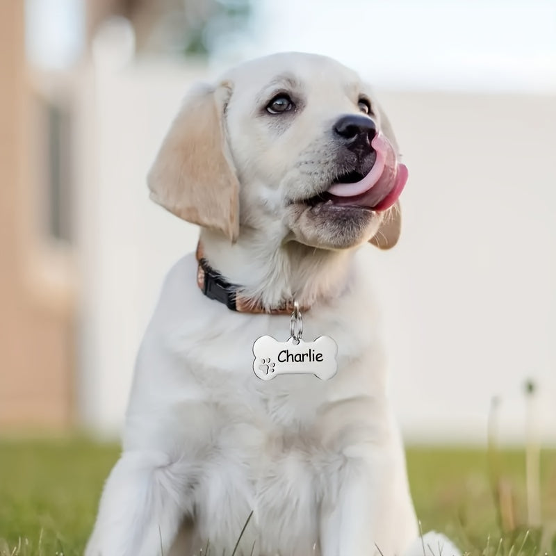 Etichetă personalizată pentru animale de companie [aurie/argintie]-C3
