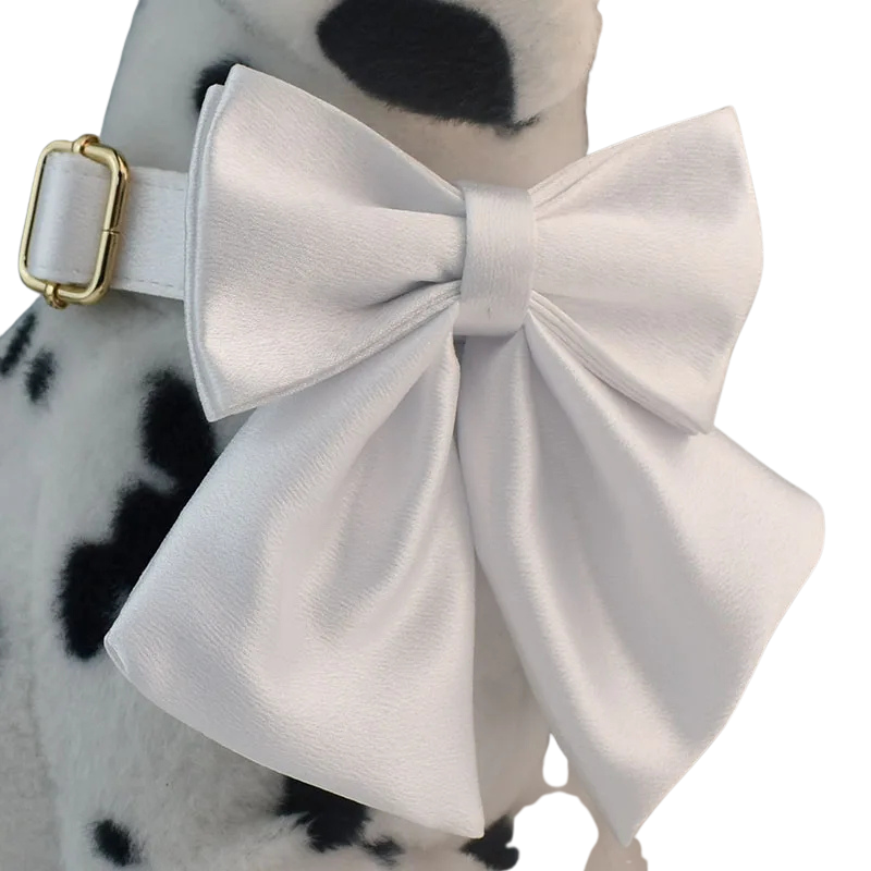 Zgardă personalizată pentru câini cu lesă și papion detașabil – cristal