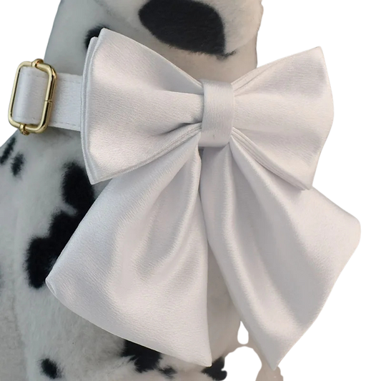 Zgardă personalizată pentru câini cu lesă și papion detașabil – cristal