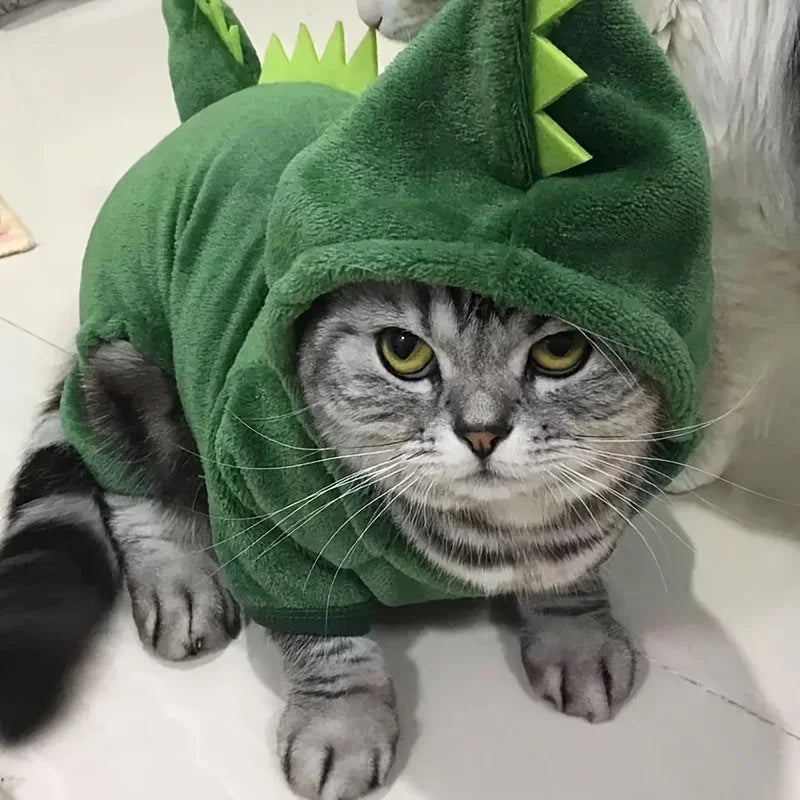 Haină Dragon pentru Câini – Protecție Călduroasă cu un Strop de Aventură
