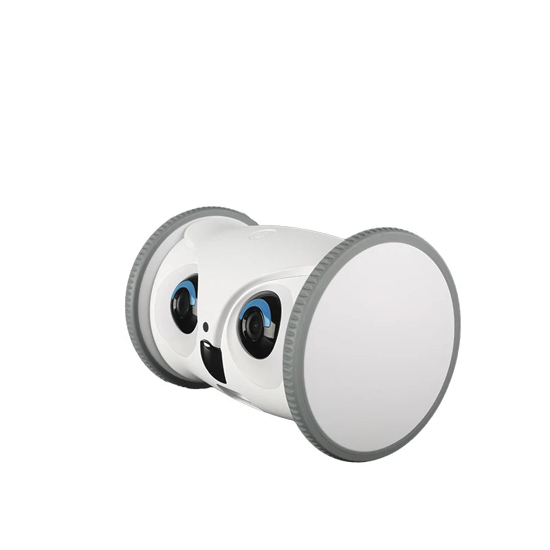 Owl Robot Booteely – Jucărie Interactivă și Dispozitiv Smart pentru Câini