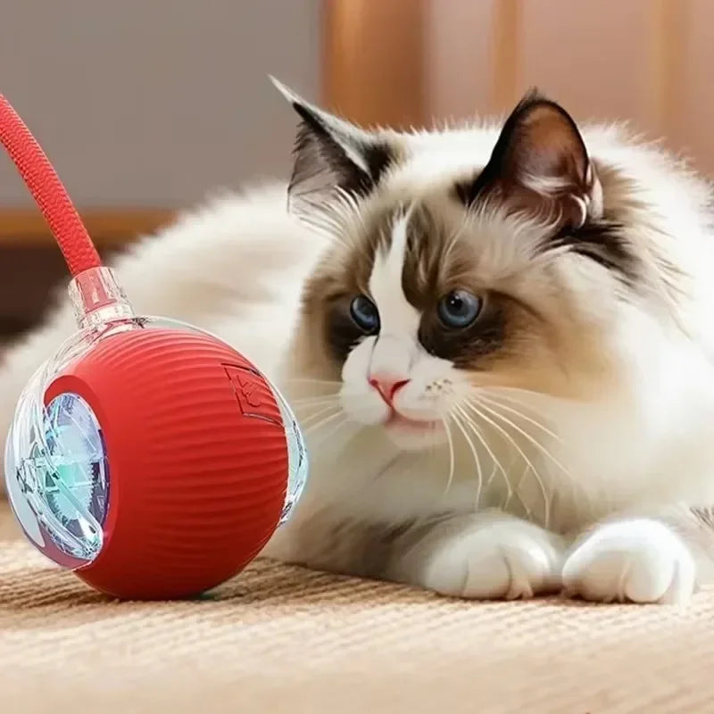 Minge Electrică Interactivă pertru Animale de Companie – Joacă Intelligentă și Distracție Fără Sfârșit!