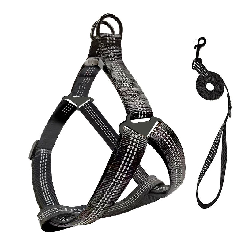 Ham Reglabil și Lesă Reflectorizantă pentru Câini – Siguranță și Confort