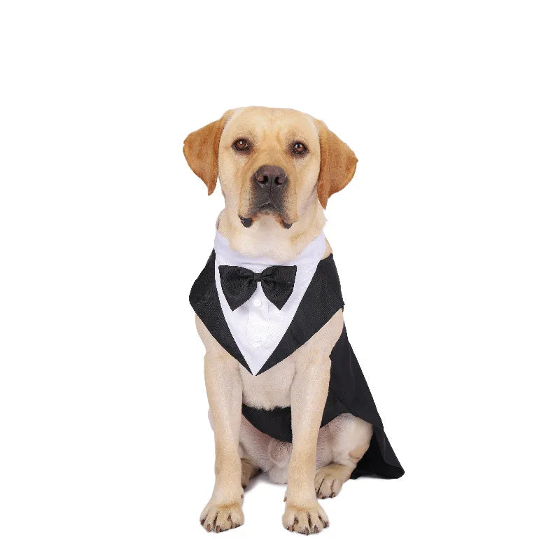 Costum Formal Elegant pentru Câini – smoking cu cravată și fund