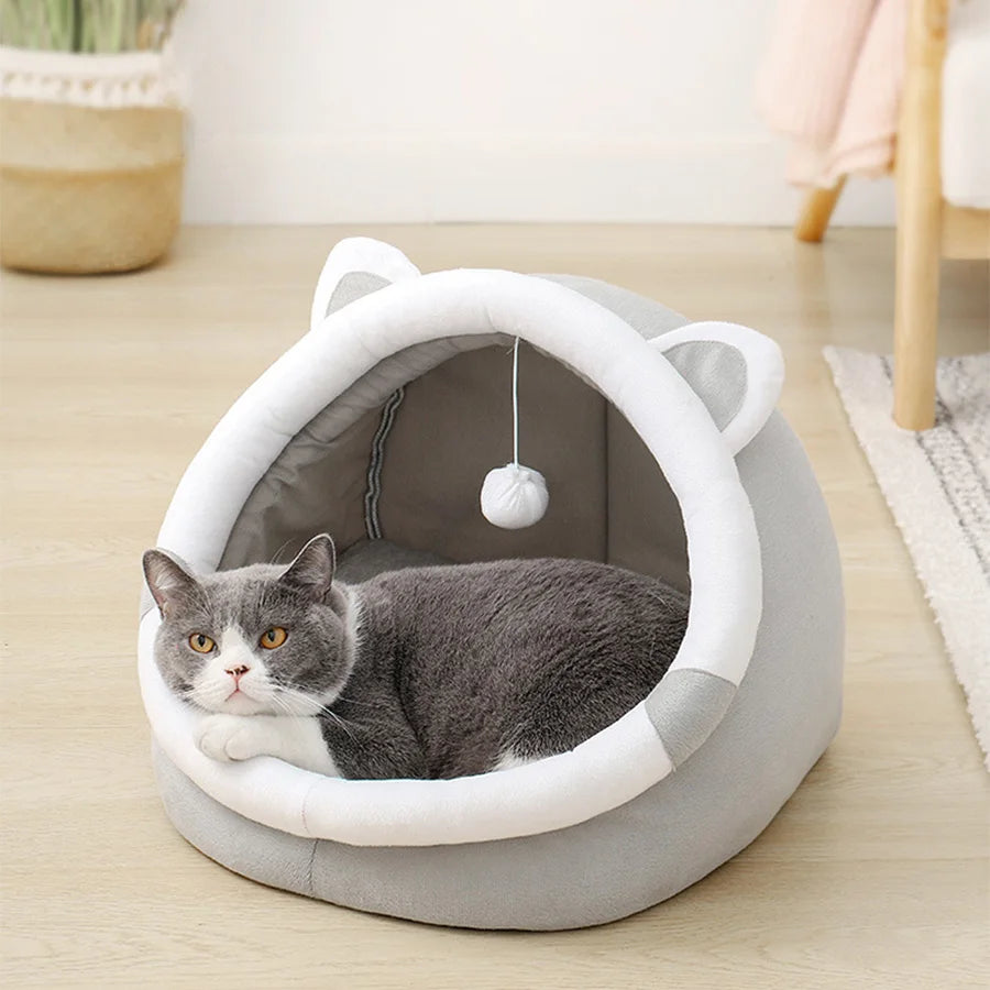 Pat Drăgălaș pentru Pisici – Confort, Siguranță și Style pentru Felina Ta