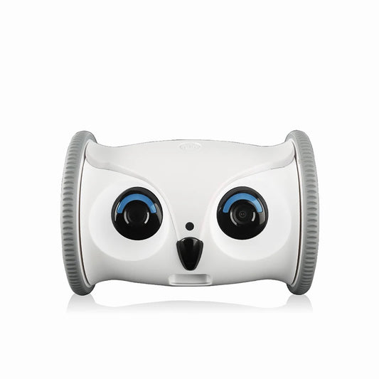 Owl Robot Booteely – Jucărie Interactivă și Dispozitiv Smart pentru Câini