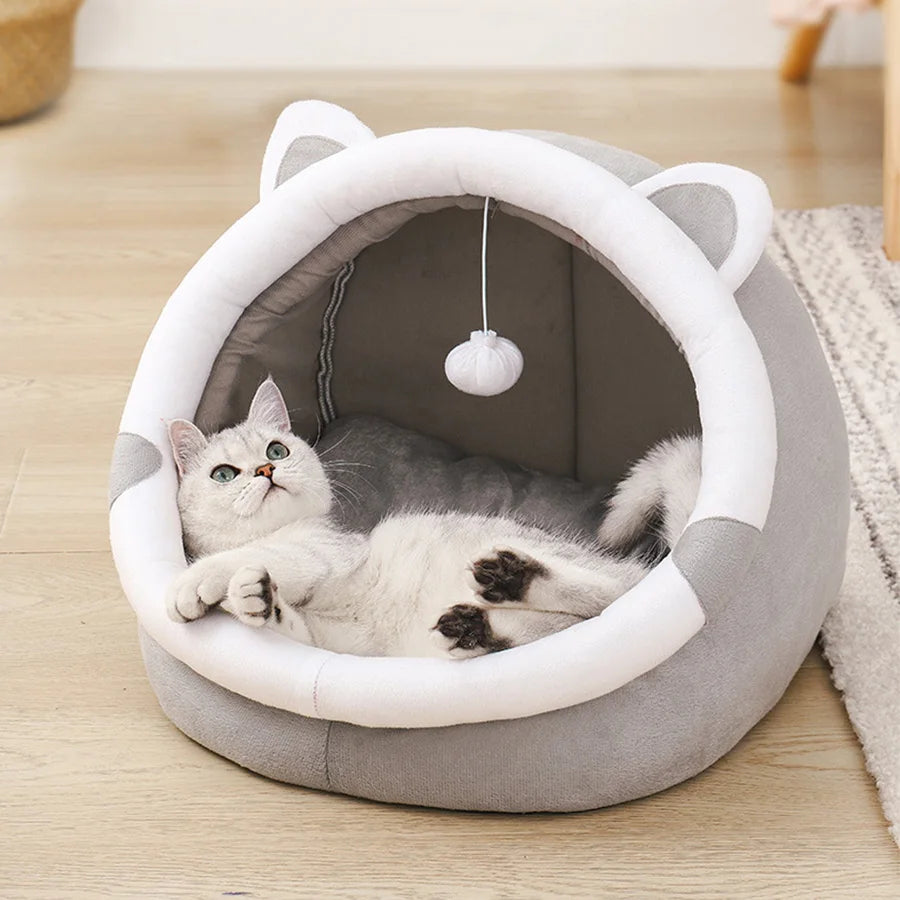 Pat Drăgălaș pentru Pisici – Confort, Siguranță și Style pentru Felina Ta