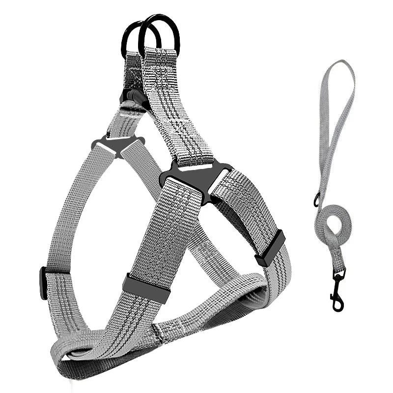 Ham Reglabil și Lesă Reflectorizantă pentru Câini – Siguranță și Confort